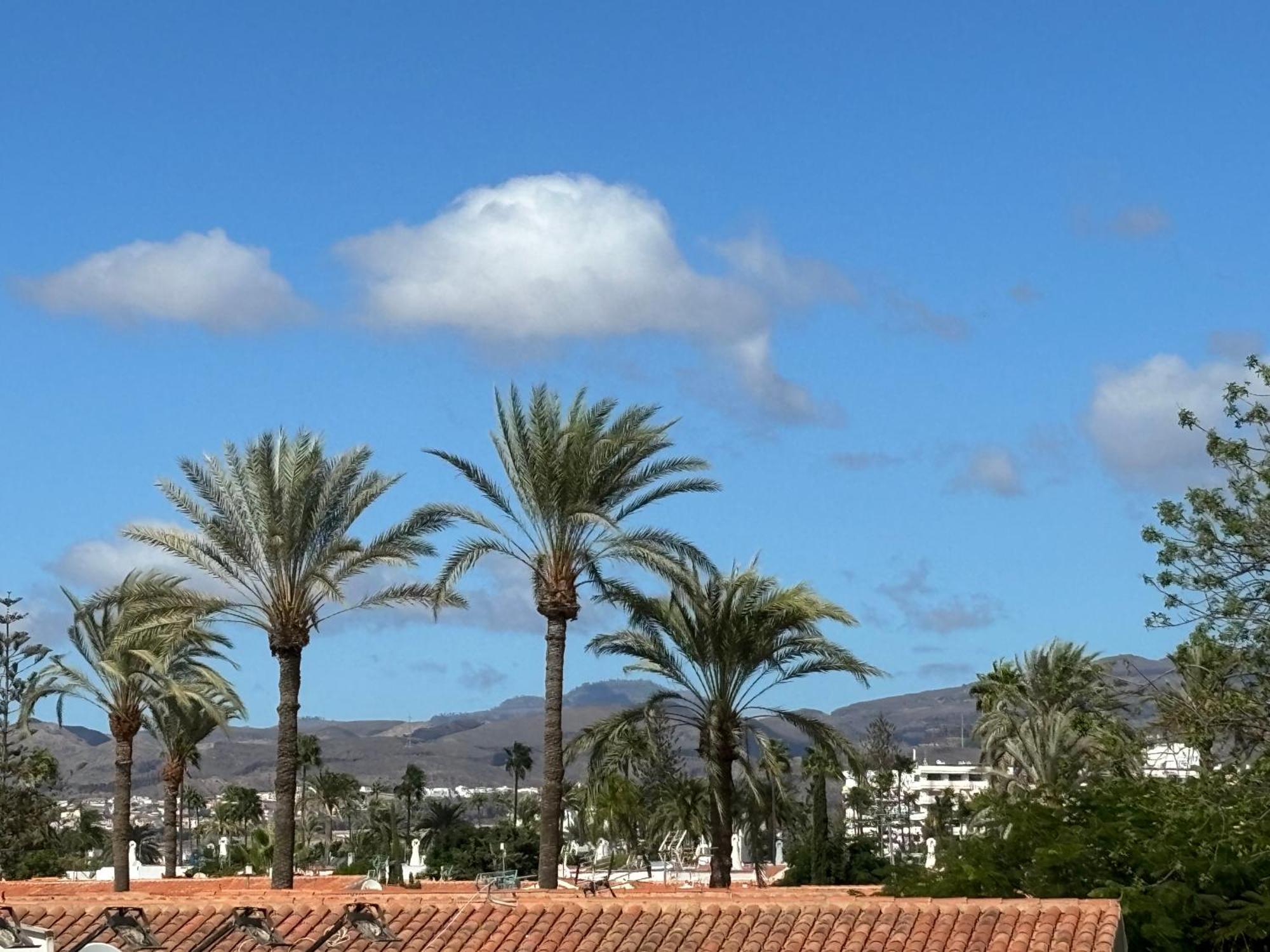 Loris Home Playa Ingles 50Mt From Yumbo By Luca Properties Gran Canaria San Bartolomé Eksteriør bilde